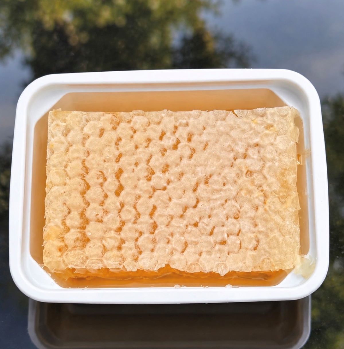 Raw Honeycomb