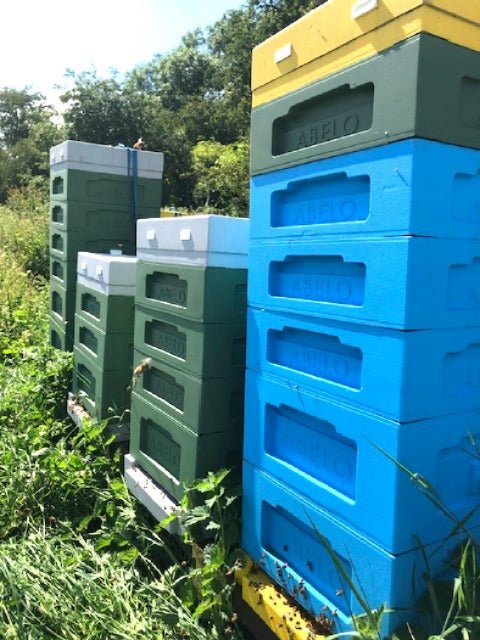 Adopt A Hive - Haskins Honey