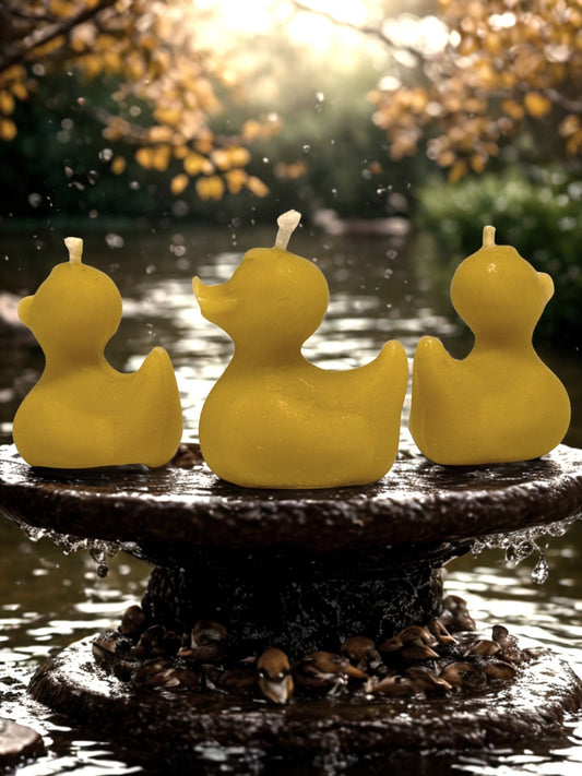 Beeswax Duckling Candle - Haskins Honey
